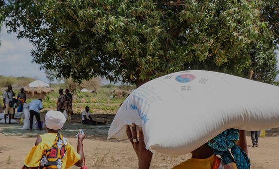 Mais ataques no norte de Moçambique agravam acesso humanitário